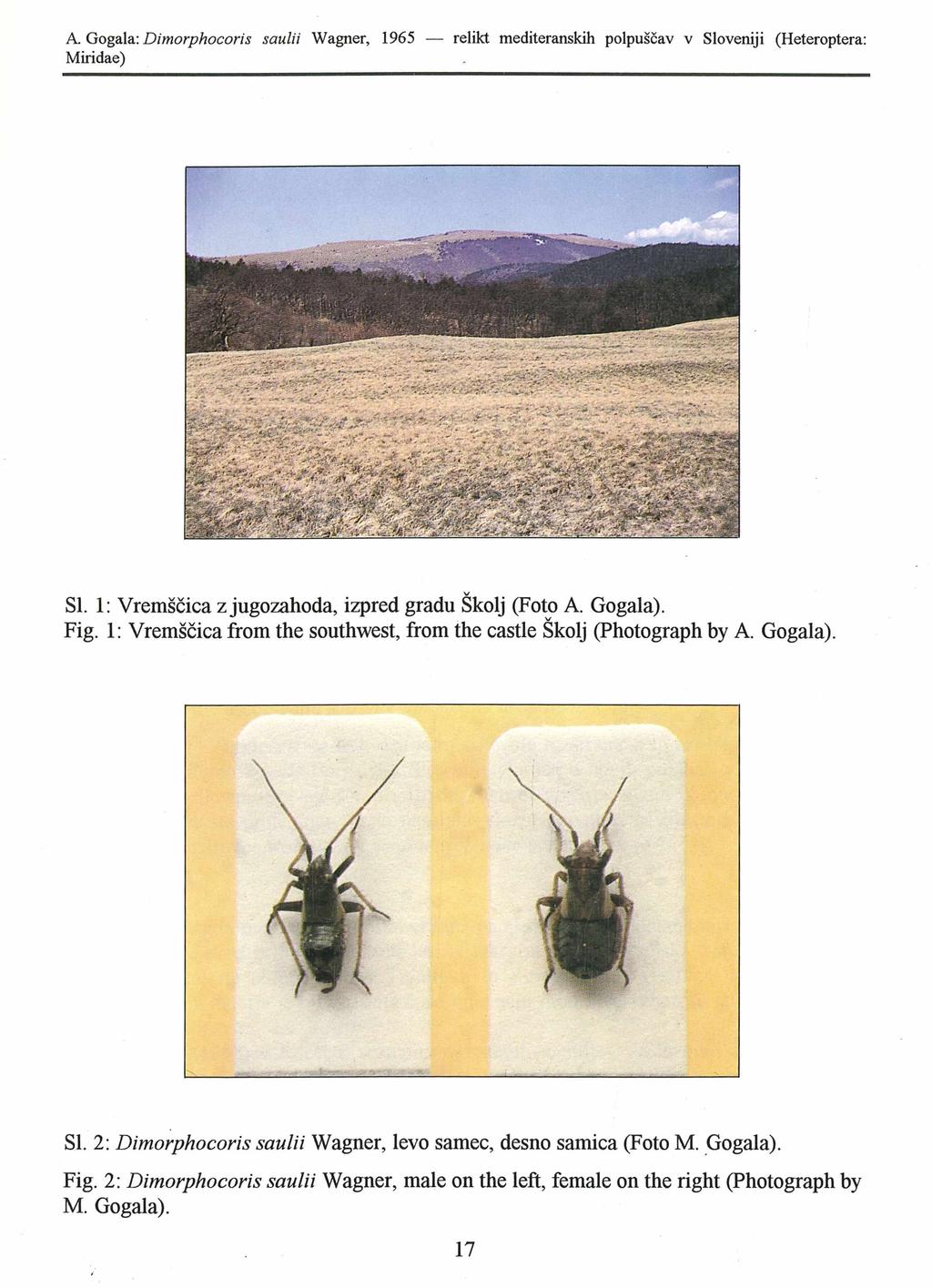 A. Gogala: Dimorphocoris saulii Slovenian Wagner, Entomological 1965 Society, relikt download mediteranskih unter www.biologiezentrum.at polpuščav v Sloveniji (Heteroptera: Miridae) Sl.