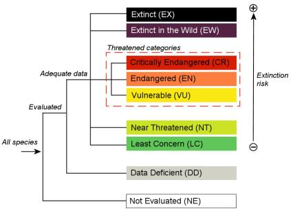 may cluster most endemic species in top threat categories, and that additional information is needed to enhance the contribution of Red List assessments to prioritize conservation action (e.g. Martin 2009; Romeiras et al.