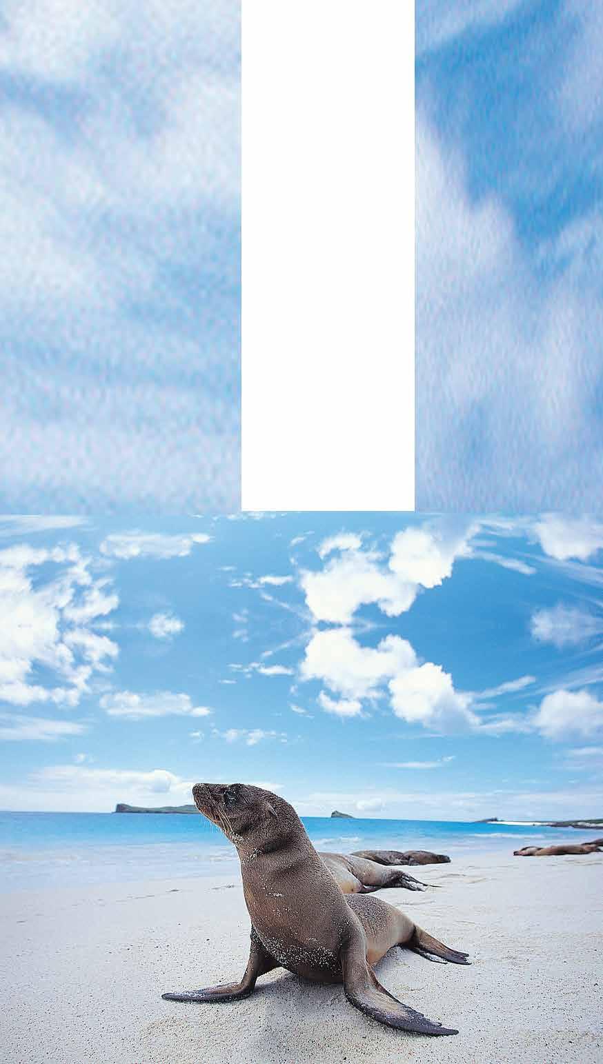 Dear Alumni and Friends, Join fellow alumni and friends as we explore the Galapagos Islands.