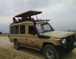 Our safari vehicles are specifically converted for maximum space and