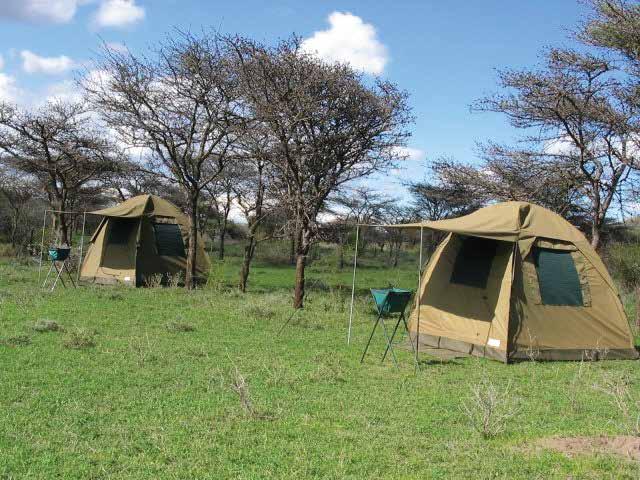 OUR BEST PACKAGES BUGDET CAMPING SAFARIS KENYA WILDERNESS SAFARIS RWANDA SAFARIS Our safari vehicles are specifically converted for maximum space and comfort.
