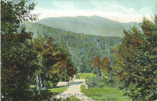 White Mountain National Forest Androscoggin Ranger District Figure 4 (left). Campground site map. Figure 5 (above). 1908 post card of the Dolly Copp Campground. Figure 6 (below).