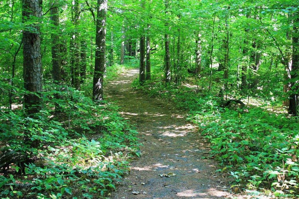 Description: This 2.95 mile hike is my favorite trail to bring friends and family to when they visit southern Illinois for the first time.