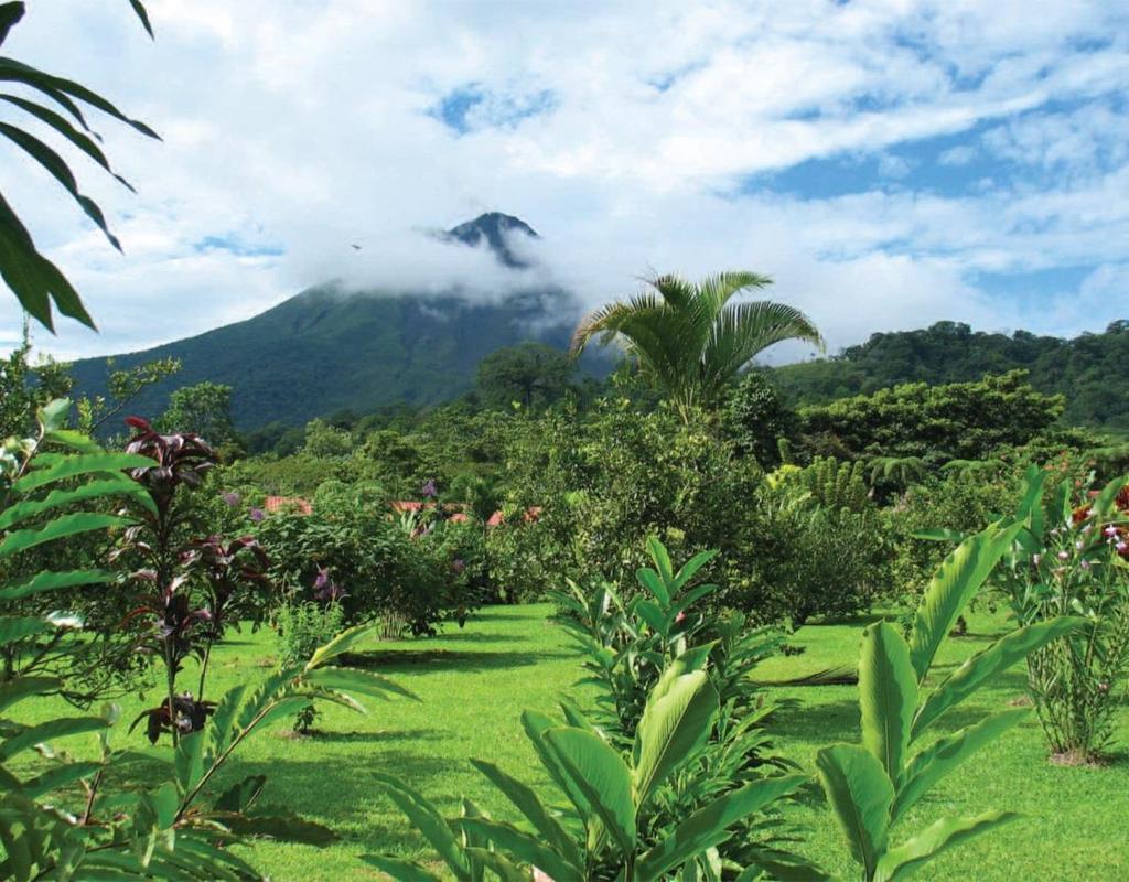 Worcester Polytechnic Institute Alumni Association presents Tropical Costa Rica with Optional 3-Night Jungle Adventure Post Tour Extension April