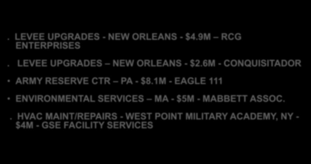 USACE SDVSB SUCCESS STORIES. LEVEE UPGRADES - NEW ORLEANS - $4.9M RCG ENTERPRISES. LEVEE UPGRADES NEW ORLEANS - $2.