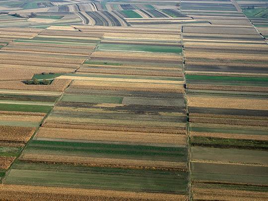 Slika 8. Nizinski reljef Donjeg Međimurja je tipičan agrarni pejzaž otvorenih polja Izvor: [12] 3.