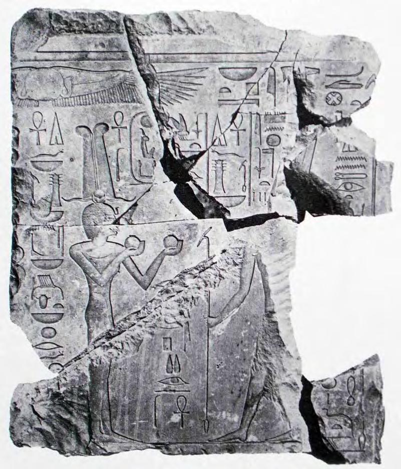 Hatshepsut: King s