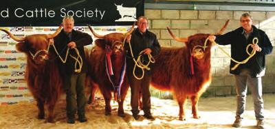 On Monday the Sale commenced at 10am, two animals shared the top price of 3000, Ailsa 9th of Craigowmill from Ken & Eva Brown of Kinross who was sold to Michael & Sally Nairn of Balnabroich Farms and