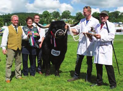 Peter Smith; CAIRISTIONA DUBH OF STOCKLEY UK315256200016; 17 June 2014; bred by Peter & Sue Smith; sire, Caennard Of Miungaligh; dam, Cairisiona Dubh Of Cladich Class 575 BULL, any age Ist & Male