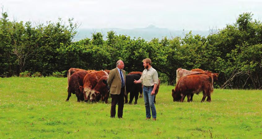 WATSONS SEEDS The Highland Cattle breed holds a unique place in our livestock industry writes Johnny Watson of Watson Seeds.