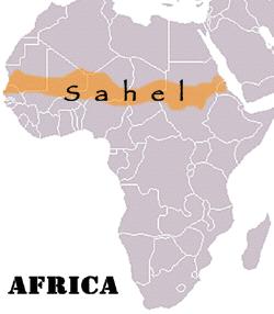 Semi-arid region just south of the Sahara - dry grasslands The word Sahel means border or margin.