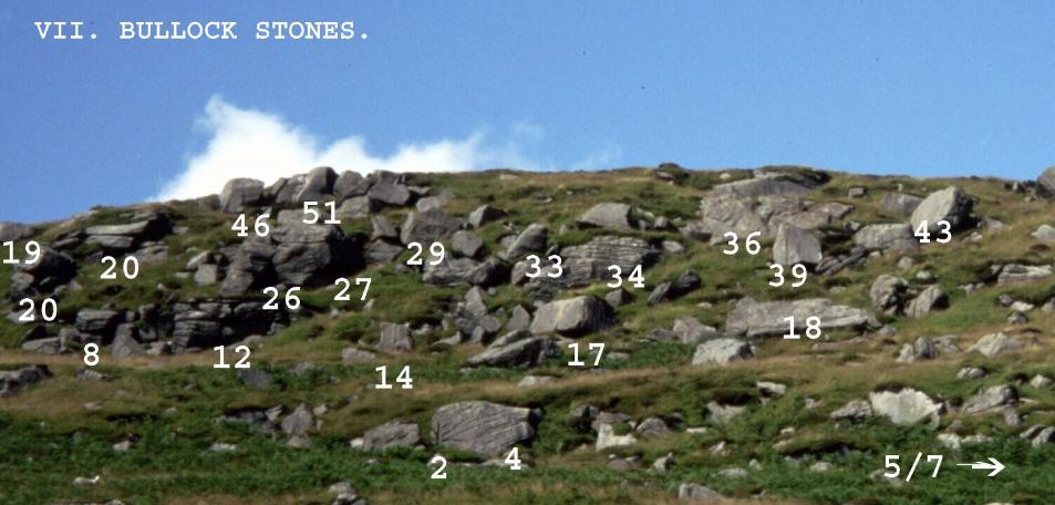 Sector VII. Bullock Stones. Described in levels as you reach them up the hillside from the clough. A complex area! A. Lowest Level. 1 4b Picos. Left bulging face of the lowest left boulder.