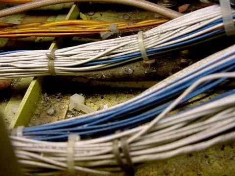 Wiring Investigation Findings Wiring is affected by: Design Maintenance Operation