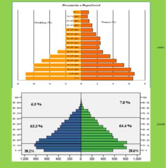 Slika 7 : Piramida stanovništva 1991. godine 46 i 2009.