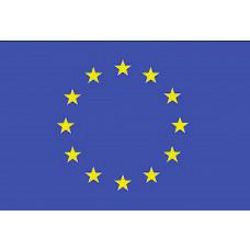 Zastava Evropske unije s 12 zvjezdica ne mijenja se nakon proširenja EU, jer broj zvjezdica ne predstavlja broj članica, već je 12 izabran kao broj koji tradicionalno predstavlja simbol savršenstva,