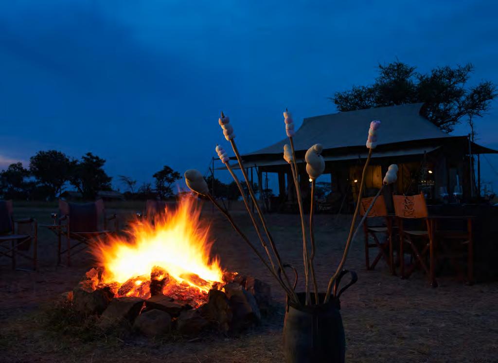 Serengeti nights A true journey, exploring the African wilderness, where