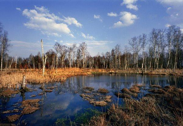 THE NATIONAL NATURE RESERVE The Soos National Nature Reserve lies not far from Františkové Lázně.