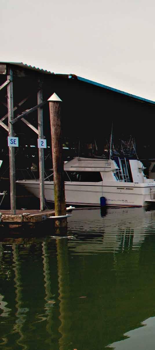 2015 Financial Report... The Port of Skagit has three primary sources of income: revenue from leasing and moorage operations, property taxes and grants.