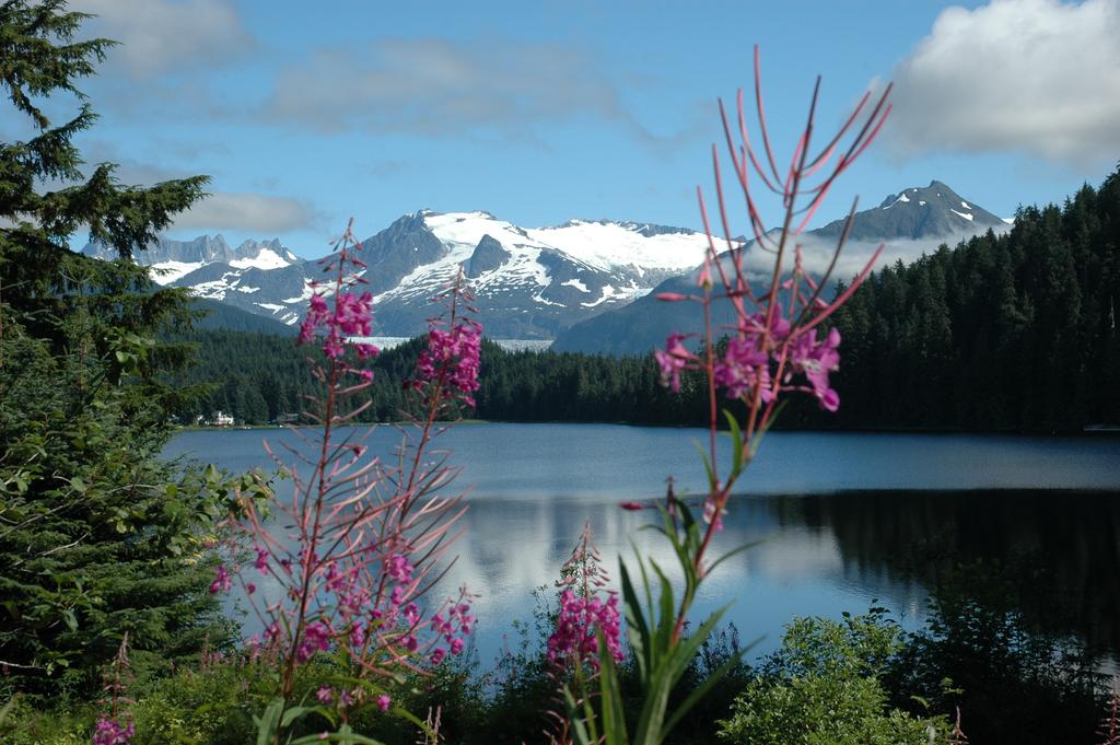 The VERY BEST of ALASKA Cruise/Land Combination: July 27-August 6, 2013 Beautiful Auke Bay and Mendenhall Glacier in Juneau!
