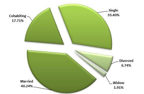 Graph 5: Respondents marital status Marital status Most of interviewed tourists were married (40.24%).