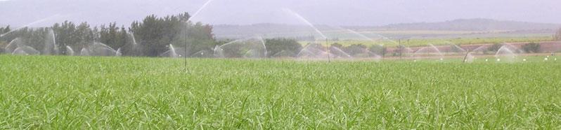 Current arable land equipped for irrigated agriculture in Mozambique accounts for approximate 8 758 ha.
