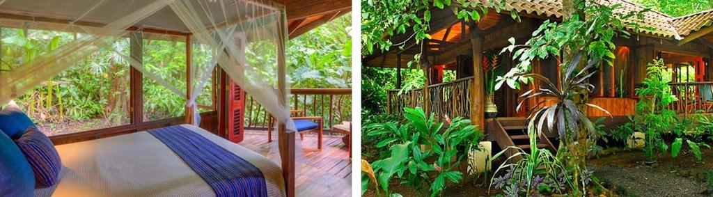 Playa Nicuesa Rainforest Lodge 1 x Private Two-Bed Cabin with Full Board for 3-nights This stunning lodge is located in the Golfo Dulce on the Osa Peninsula which is considered to be the largest