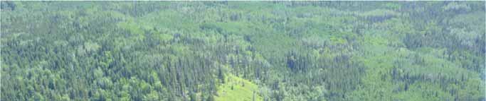 Over 22,000 m3 of merchantable timber (2013) 1274 Acres 2 private lakes close to Vanderhoof Omineca