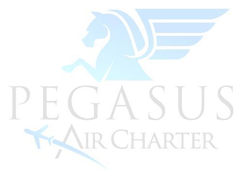 Pegasus Wings Program PILOT TRAINING FUND Abstract : The Pegasus Wings Program (Wings) is an innovative 501(c)3 non-profit pilot training scholarship fund initially targeting deprived youth in the