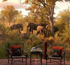 Optional activities include Elephant Back Safaris and Helicopter Flips.