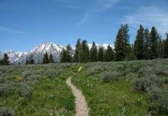 Leigh Lake: This out-and-back trail offers an easy shoreline hike with magnificent mountain views. The maximum round trip from String Lake parking area is 9.3 miles.
