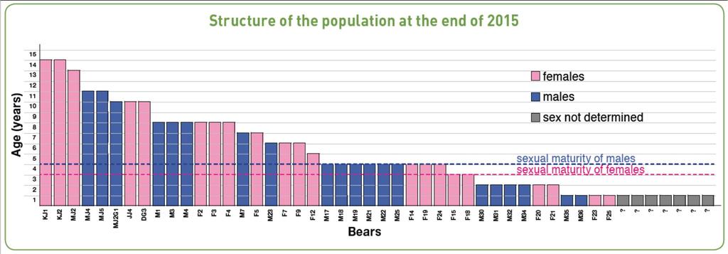 N, structure and sex ratio 48-54 bears in 2015 Structure: 23 adults (48%), 14