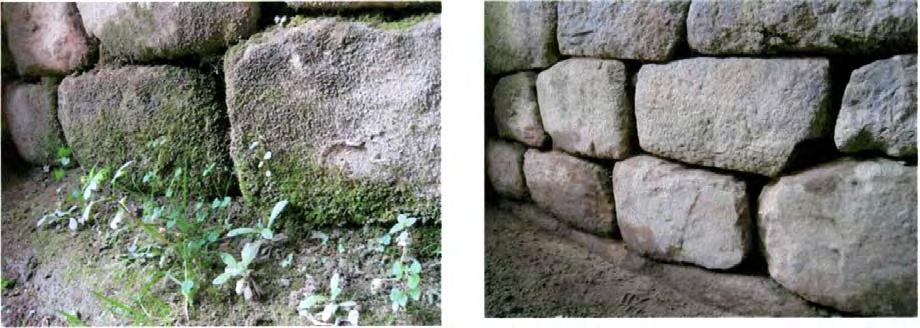 The walls had many larger plants growing from the joints indicating that some time had passed since the prior cleaning. Before After Project Area G. Temple of the Condor.