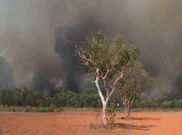 Step 1 Uderstad Bushfire Dager To help you assess your level of bushfire risk ad determie what actio to take, it is importat that you uderstad the potetial threat of bushfire to your people ad your
