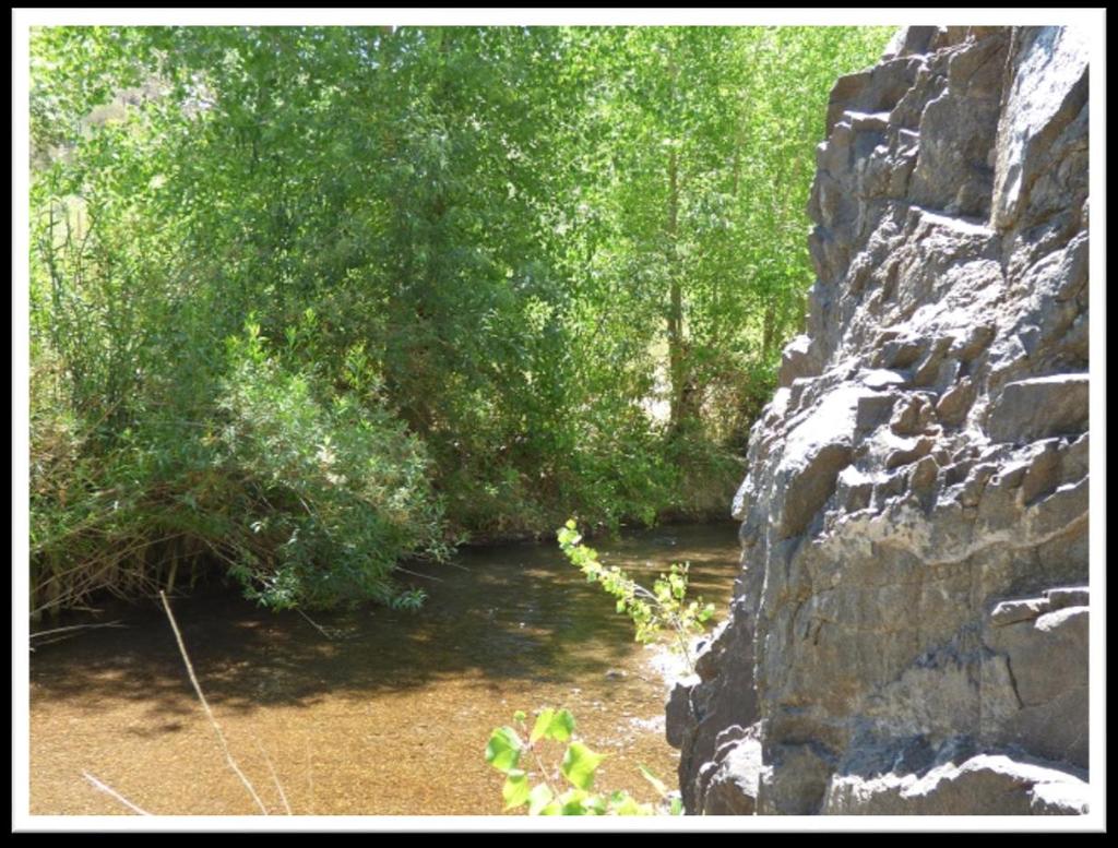 Aravaipa Creek Flowing Through the Property Offered for sale exclusively by: Sandy Ruppel Headquarters