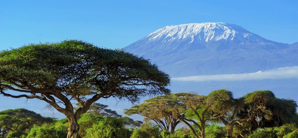 Mount Kilimanjaro from Amboseli National Park After lunch you depart for an afternoon game drive in the national park.