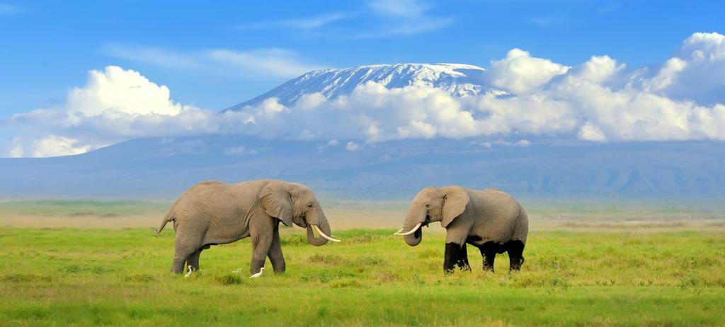 Overnight stay at Nairobi Hotel. Note:- Meals on own arrangement Day 2 September 2017 AMBOSELI NATIONAL PARK After Buffet breakfast, check out from the hotel.