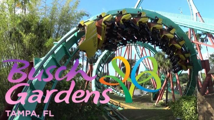 SESSION 7: WALK ON THE WILD SIDE July 16-July 20 Our last week together winds down at Busch Gardens. We will learn about wildlife as we reminisce on all of our summer memories.