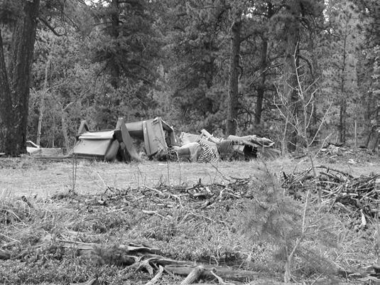 Dispersed camping is popular along many Forest System Roads throughout the aforementioned treatment units. Dispersed campers are recreationists coming to the area to fish, hunt, trail ride, etc.