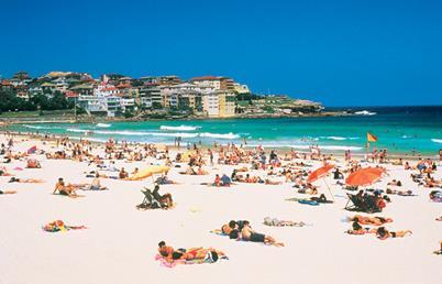A Taste of Australia - your day culminates with a traditional fish n chip dinner on Bondi Beach this evening.