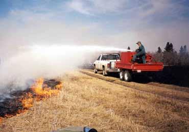 Through this plan, 16 prairie sites have been regularly burned, aspen encroachment has been controlled at several sites, and regular monitoring of prairie health has been undertaken.