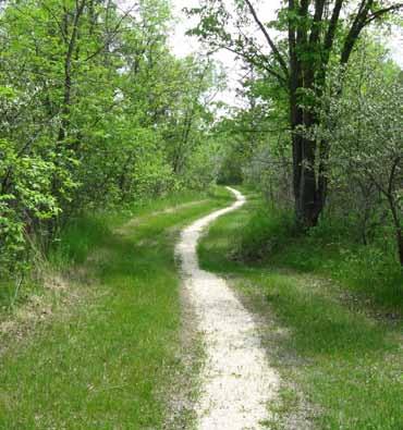 Draft Management Plan 19 Guidelines: - Prepare a trails plan for Spruce Woods that will: direct monitoring of trail use and trail conditions to ensure trails continue to meet objectives for the park