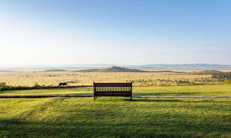From the vantage point of Sasakwa Hill, panoramic views of the Serengeti plains merge with
