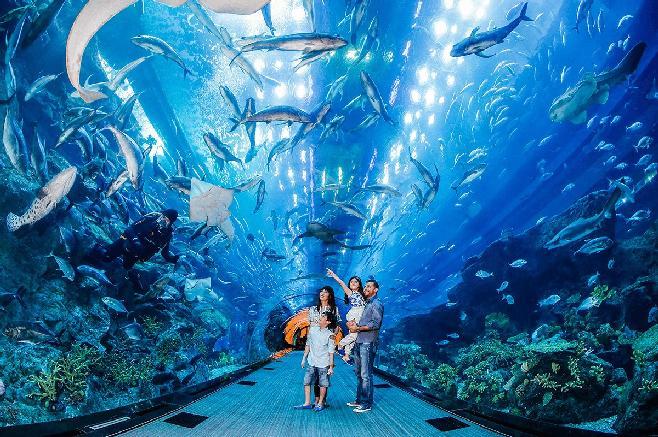 Transfer back to hotel Overnight in Dubai Day 3: 124th FLOOR BURJ KHALIFA DHOW CRUISE (B/D) The 10-million liter Dubai Aquarium tank, located on the Ground level of the Dubai Mall, is one of the