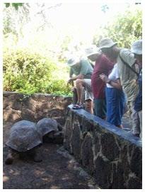 In the afternoon, visit to Cerro Colorado Tortoises Protection and Growing Center, located at 40 minutes aprox by bus to the south east of the island.