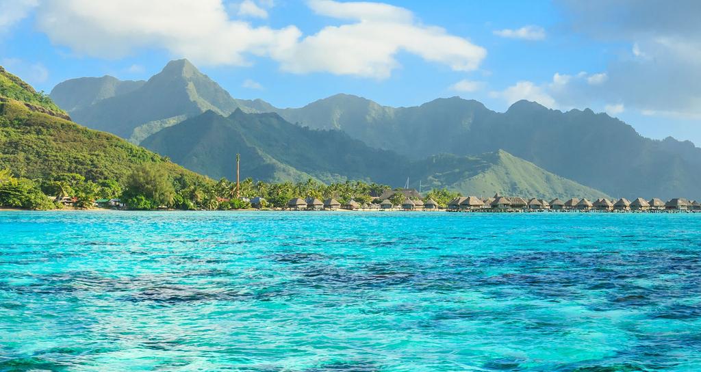 SOUTH PACIFIC SERENADE $ 5999 PER PERSON TWIN SHARE FIJI NEW ZEALAND SAMOA NIUE COOK ISLANDS TONGA THE OFFER The South Pacific is not just a place - it is also a state of mind where time slows and