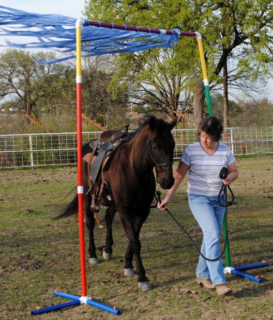 This is best done from the ground before attempting the obstacle from your horse s back!
