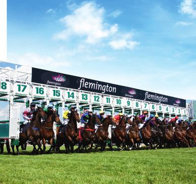 ADDITIONAL BENEFITS Unrivalled calendar of events Reciprocal rights at Interstate Venues Medallion Club Members will have even more access to premium reserved seating and hospitality