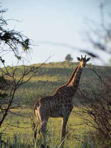 TOUR SOUTH AFRICA with knowledgeable guides and a great group of people Take a trip to South Africa.