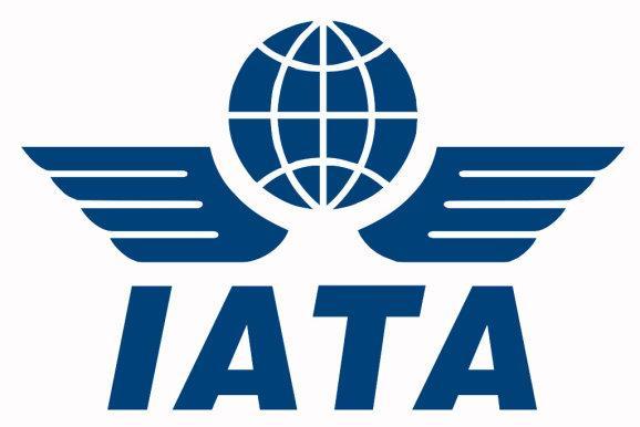 IATA s efforts International Air Transport Association