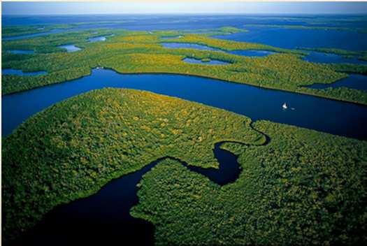 Everglades í